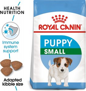 best dog food for teacup yorkies