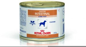 best soft dog food for Yorkies