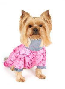 yorkie clothes pink shirt