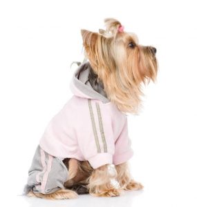 yorkie clothes tracksuit