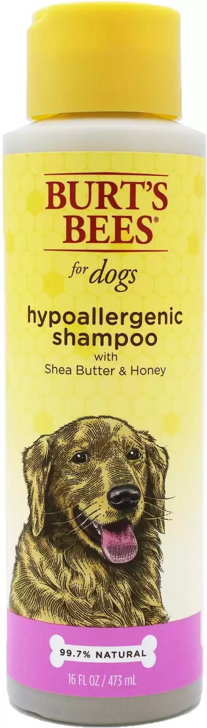Burt's Bees Hypoallergenic Dog Shampoo, 16-oz bottle