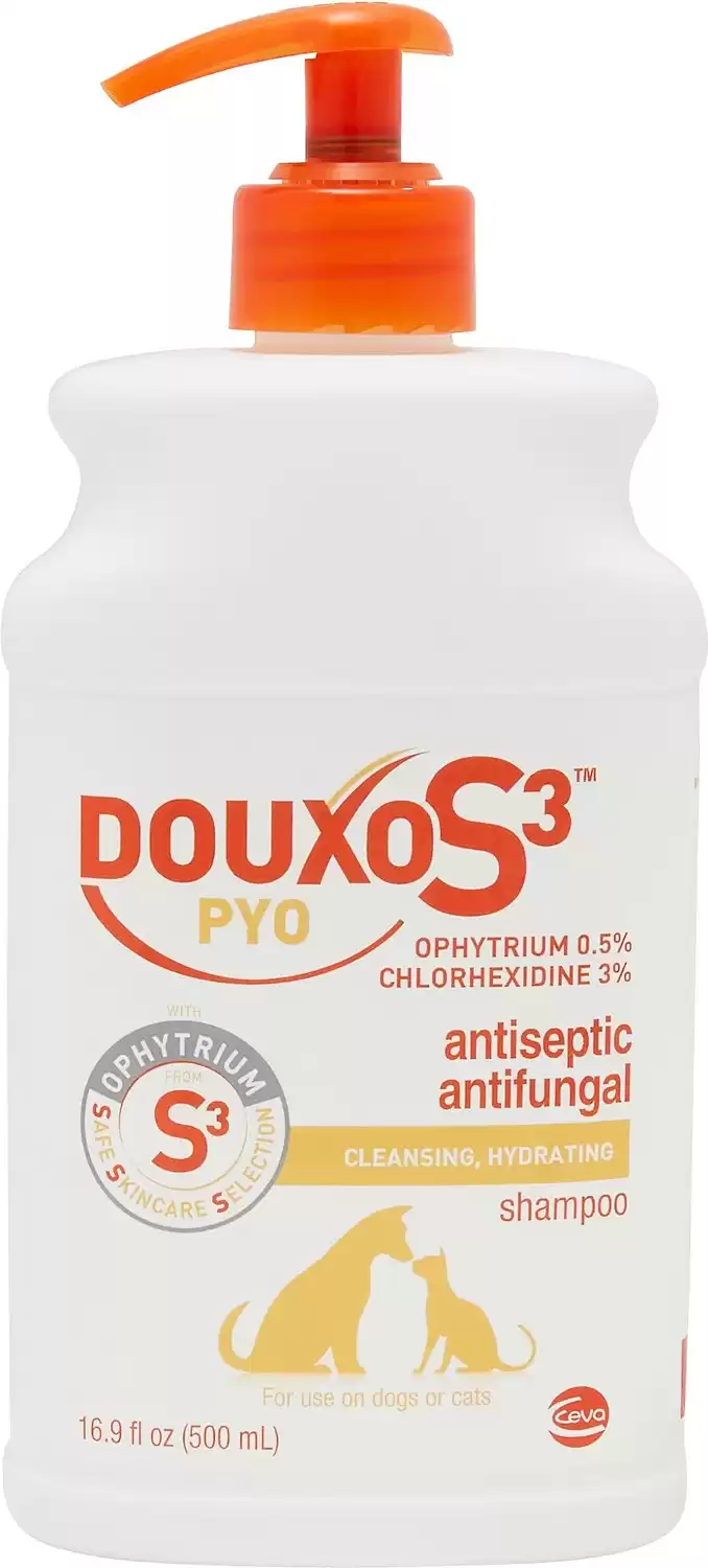 Douxo S3 PYO Antiseptic Antifungal Chlorhexidine Dog & Cat Shampoo