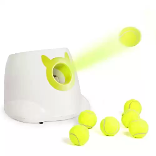 PALULU Automatic Ball Launcher for Dogs