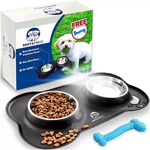 Spill Proof Small Dog Bowls for Food and Water - Puppy Sized Dishes