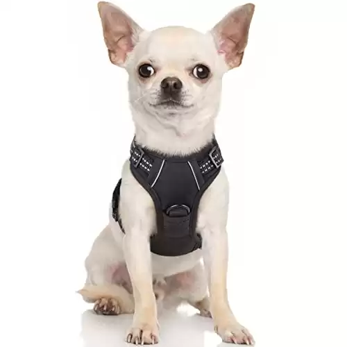 rabbitgoo No-Pull Pet Harness with 2 Leash Clips, Adjustable Soft Padded, Reflective No-Choke Pet Oxford Vest with Easy Control Handle for Small Dogs, Black, X-Small