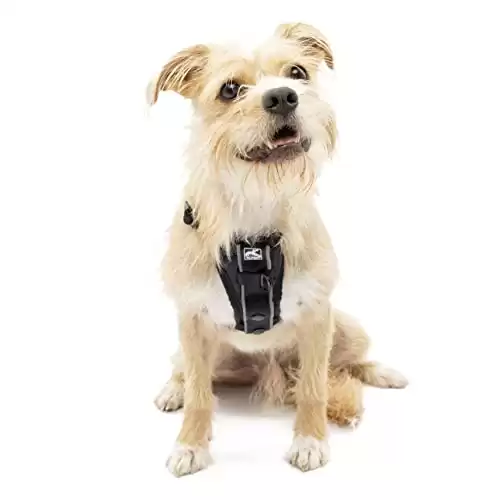 Kurgo Dog Extra Small Black No Pull Harness Front Clip Feature for Training Included | Car Seat Belt | Tru-Fit Quick Release Style