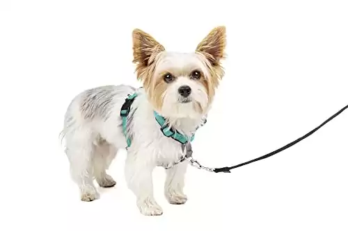 PetSafe 3-in-1 No-Pull Dog Harness - Walk, Train, and Travel - Prevents Pulling - Reflective Accents - XS, Teal