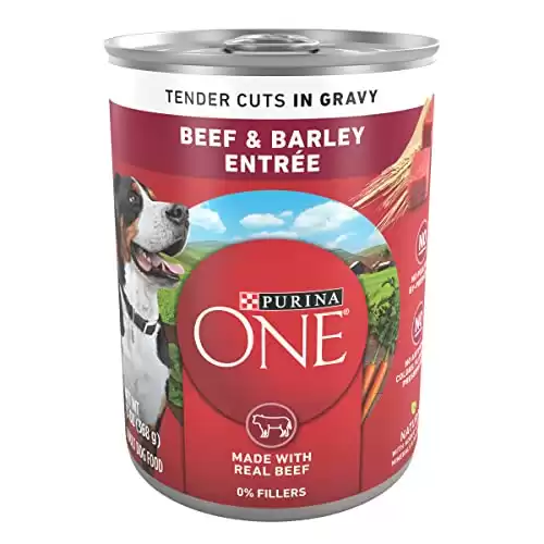Purina ONE Tender Cuts in Gravy Beef and Barley Entree in Wet Dog Food Gravy - (12) 13 oz. Cans
