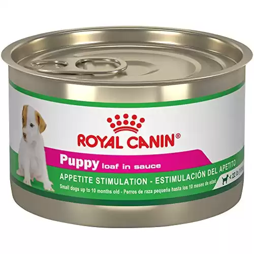 Royal Canin Canine Health Nutrition Puppy Loaf in Sauce Canned Dog Food, 5.2 oz Can (Pack of 24)