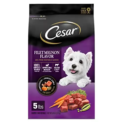 Small Breed Adult Dry Dog Food, Filet Mignon Flavor with Spring Vegetables Garnish by CESAR, 5lb Bag.